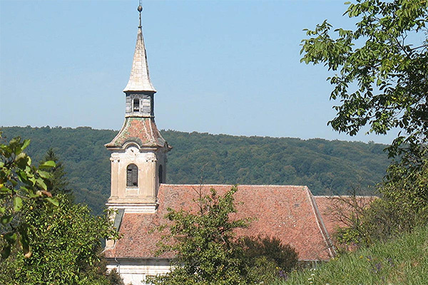 Kirchenburg Şaeş / Schaas
