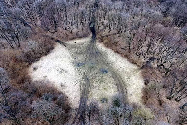 Hoia-Baciu Forest