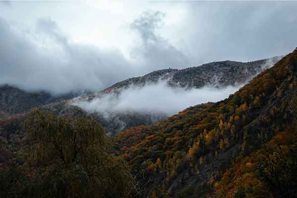 Cozia National Park