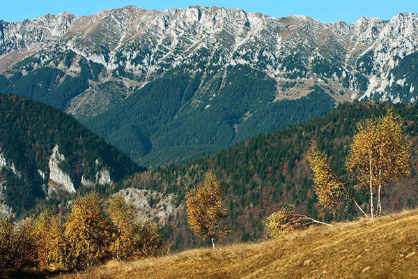 Piatra Craiului National Park