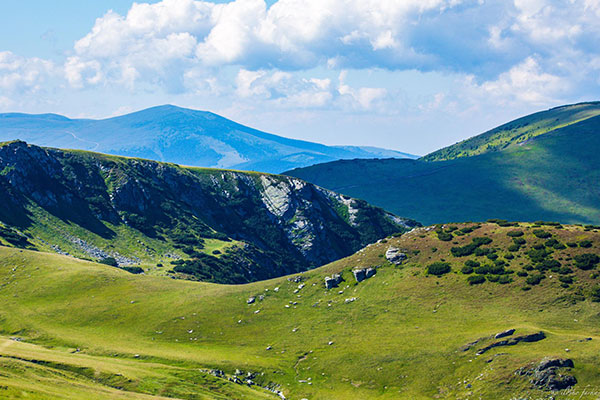 Transalpina (DN67C)