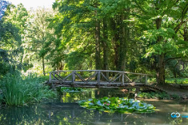 Simeria Dendrological Park