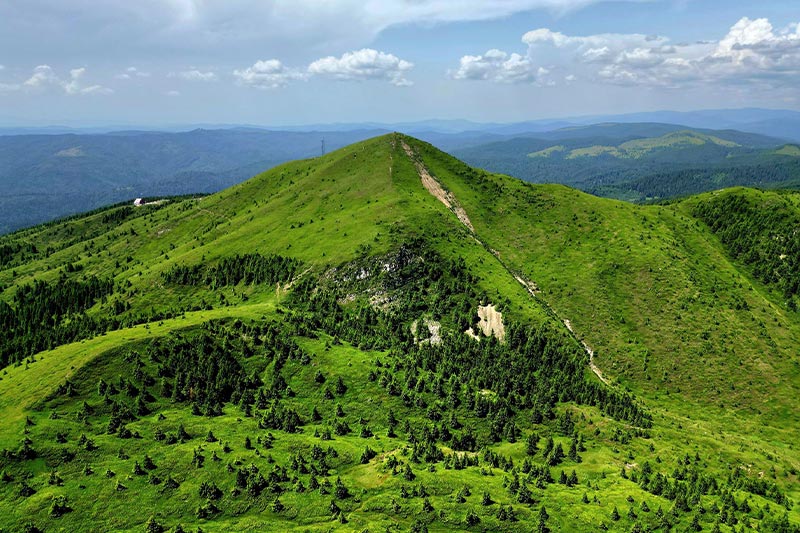 Buzau