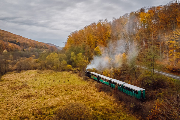 Schmalspurbahn von Câmpu Cetății